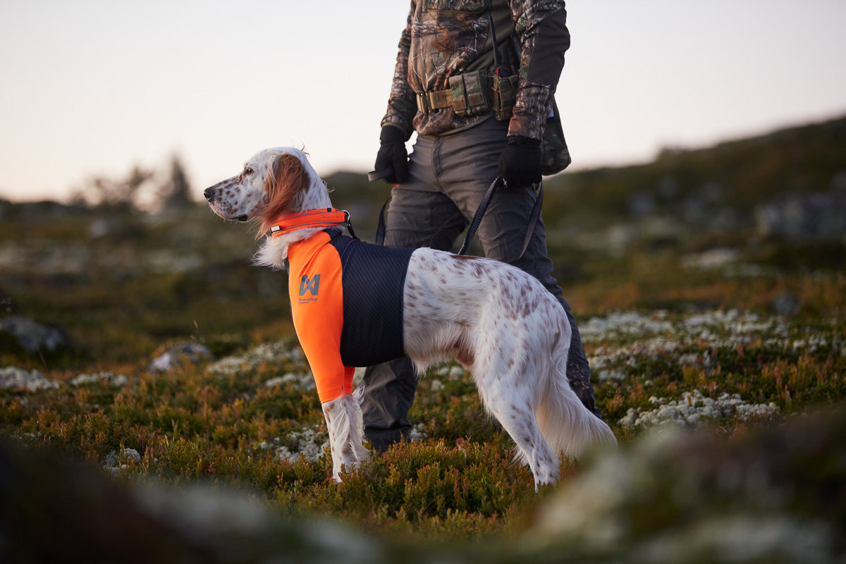 Setter Protector t-shirt Non-stop dogwear