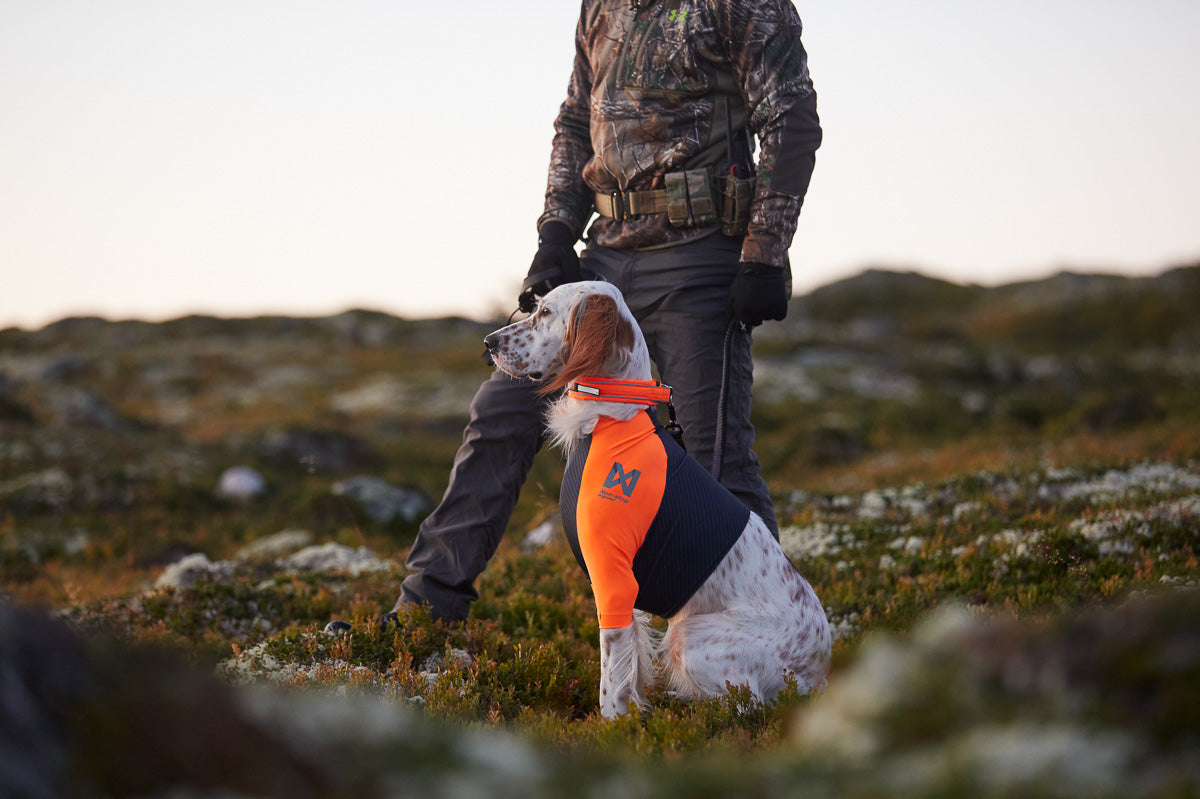 Camiseta protectora Setter Non-stop dogwear