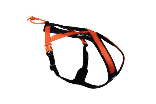 Rush harness orange Non-stop dogwear