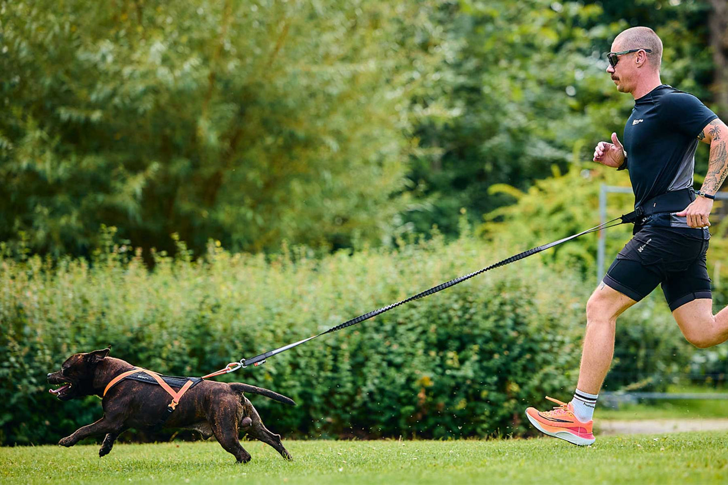 Hombre haciendo canicross con un bulldog francés