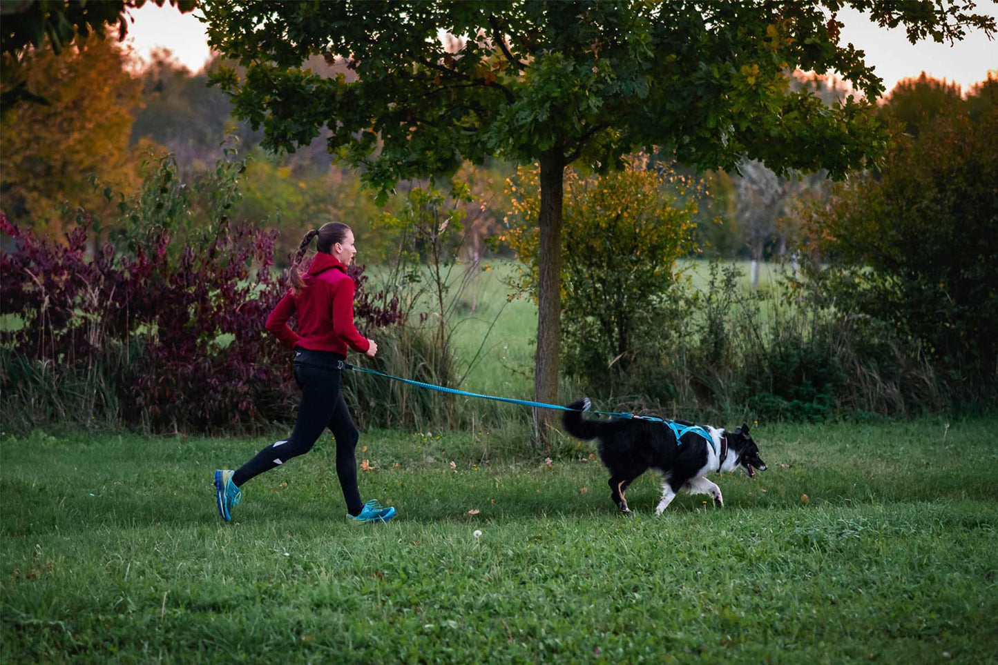 Chica corriendo con un border collie