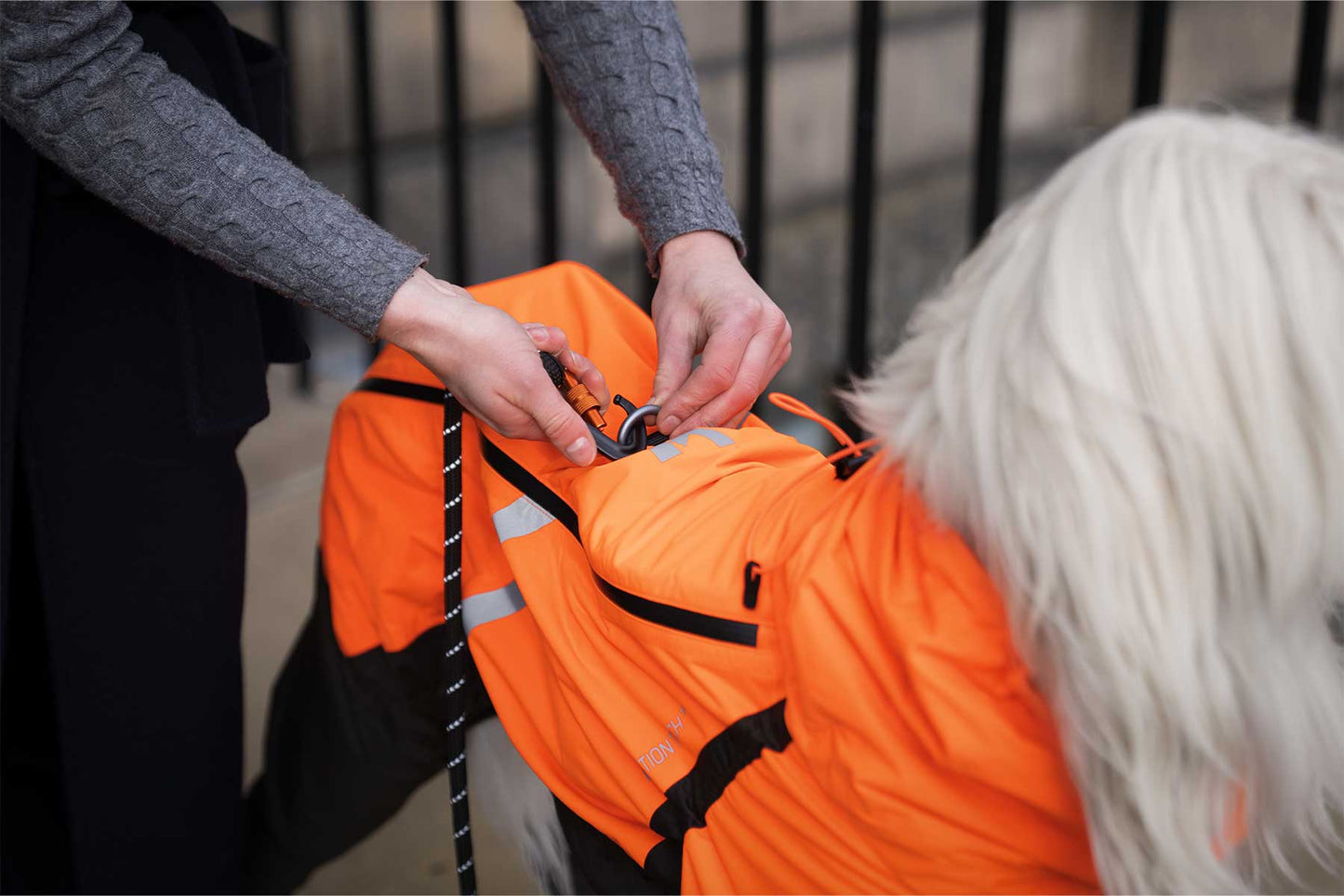 Chica uniendo la correa al arnés de su perro con un impermeable de cuerpo completo naranja de non-stop dogwear