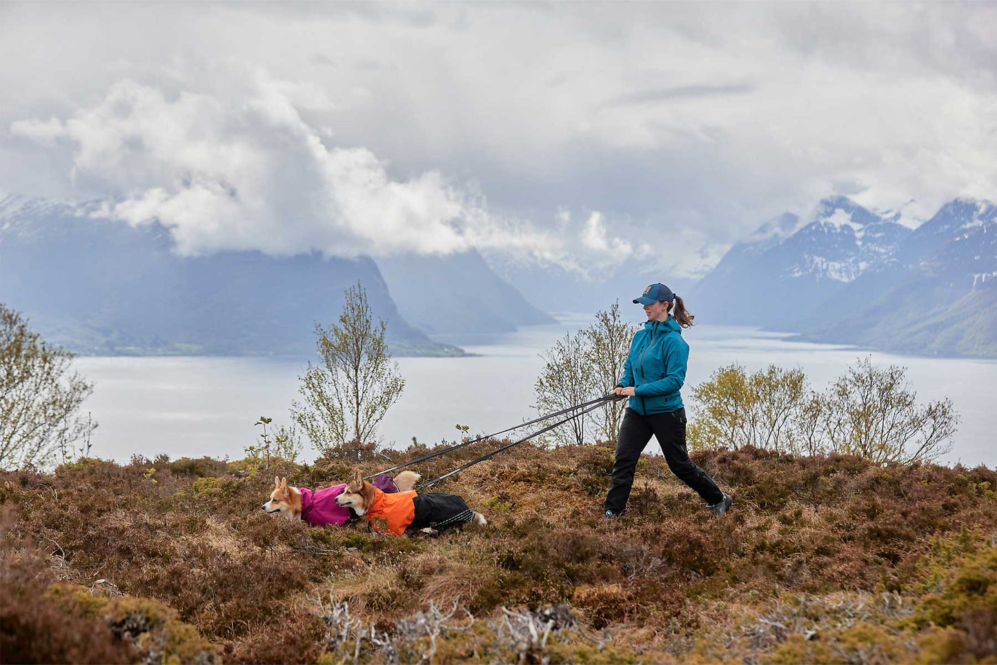 Dos perros y chica paseando por las montañas con chubasquero