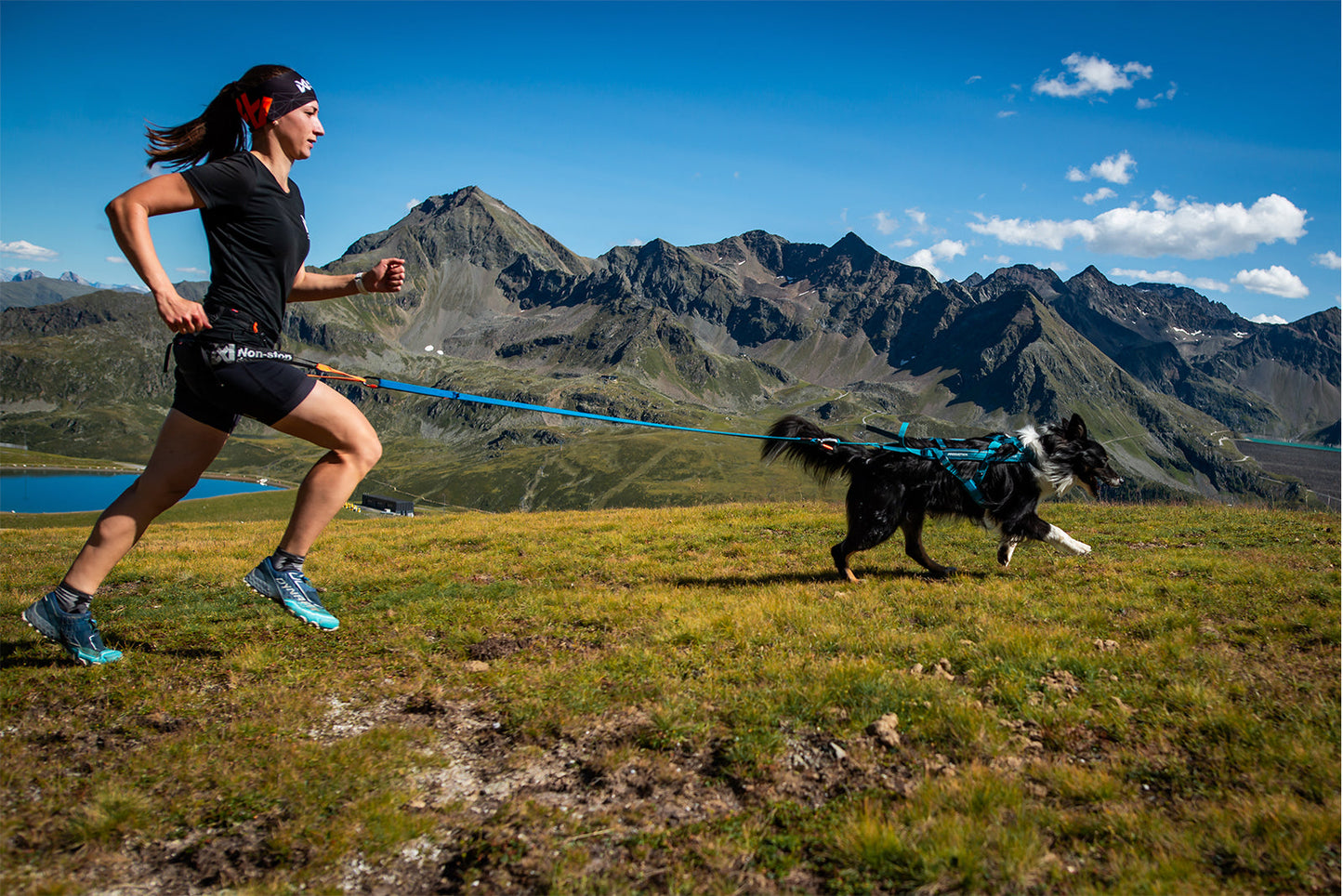 Non-stop dogwear Freemotion 5.0. – Arnés de Tiro Ajustable para Perros