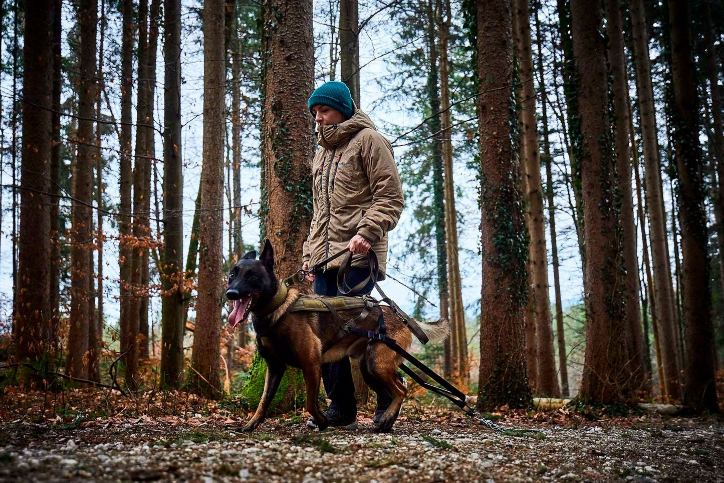 Entrenamiento WD Non-stop dogwear