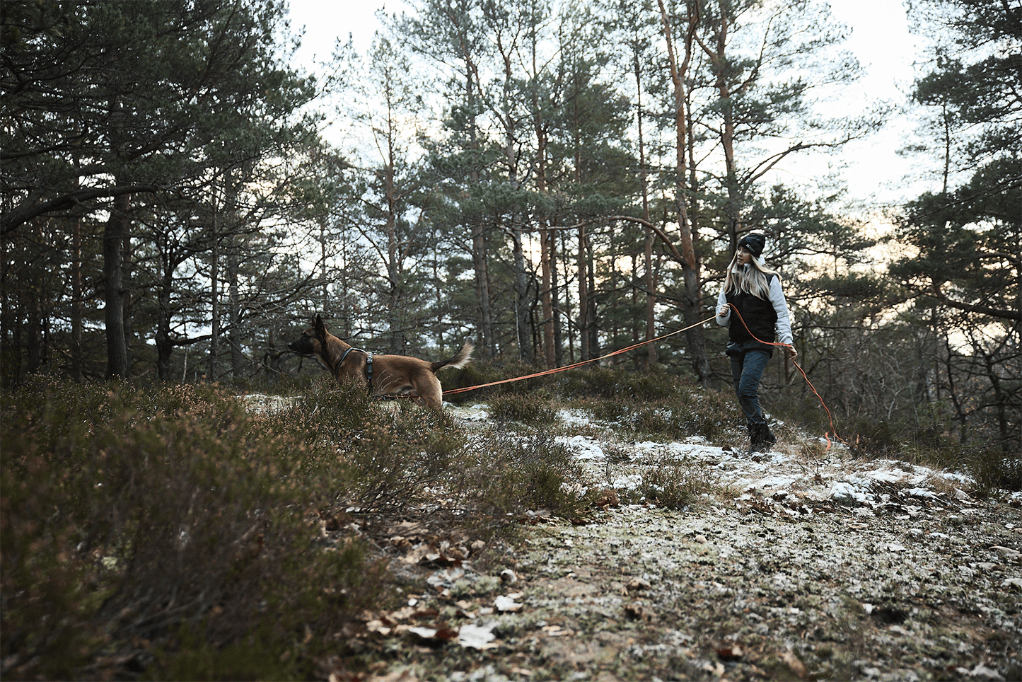 Non-stop dogwear Friction long line – Correa Larga con Agarre Mejorado