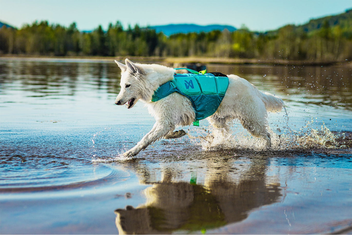 Non-stop dogwear protector life jacket turquesa pastor suizo lago