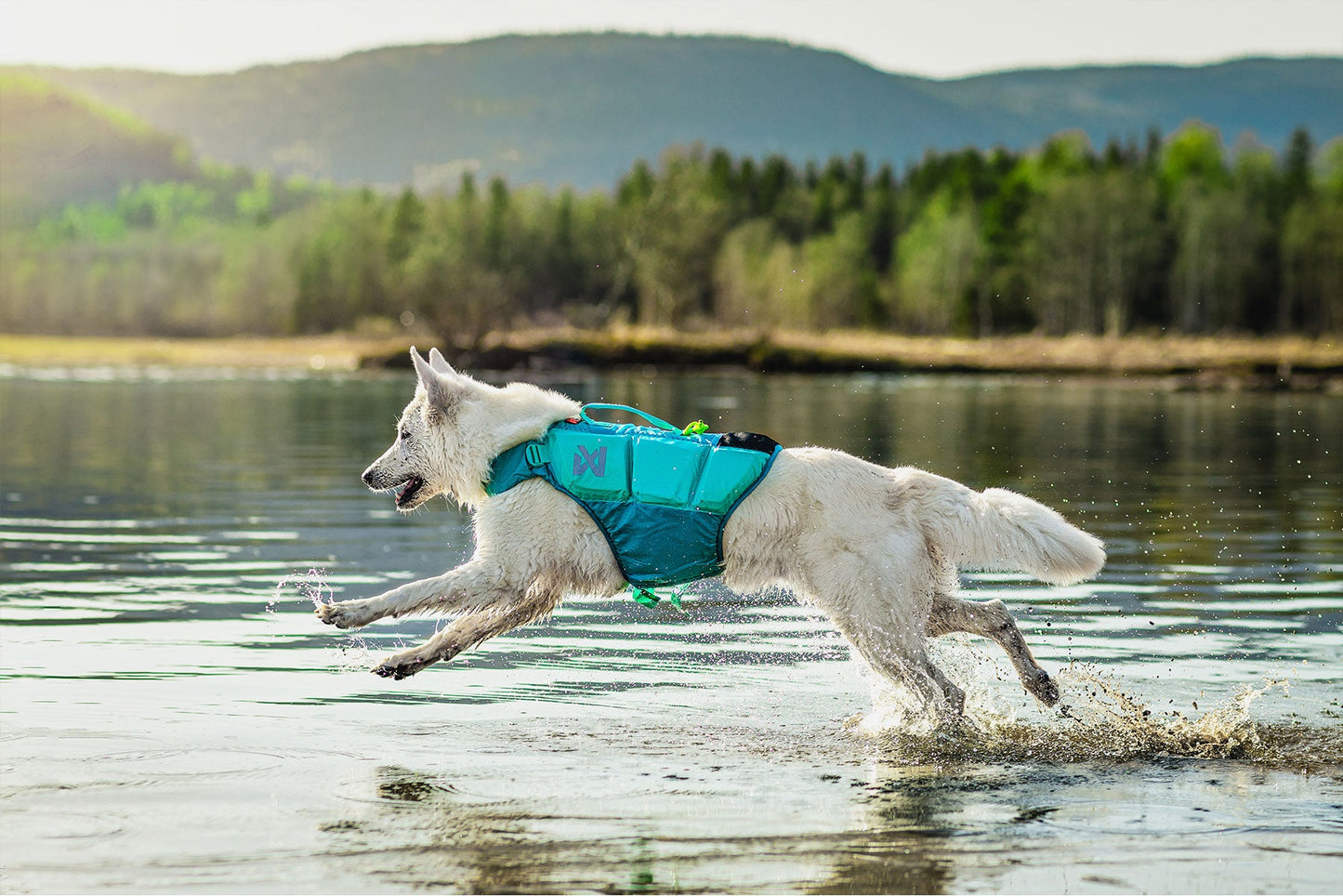 Non-stop dogwear protector life jacket turquesa pastor suizo