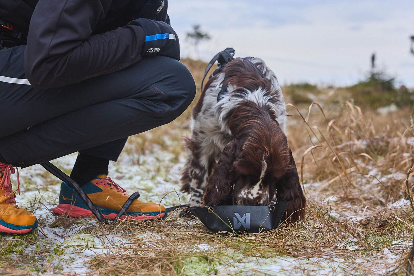 Perro bebiendo en Trekking bowl Non-stop dogwear