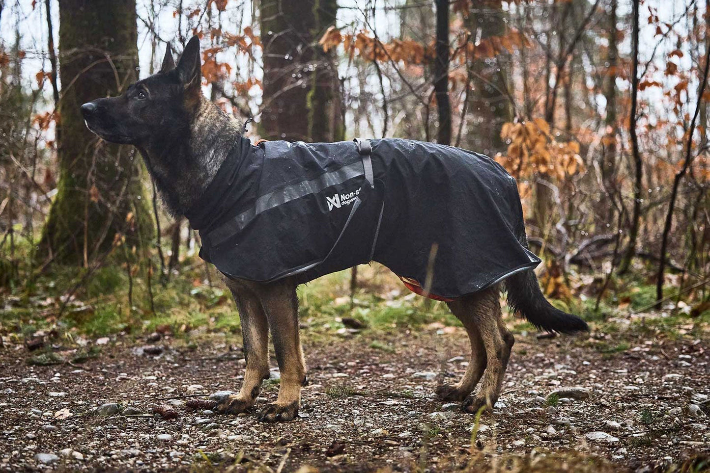 Non-stop dogwear Trekking dog raincoat – Chubasquero impermeable para perros