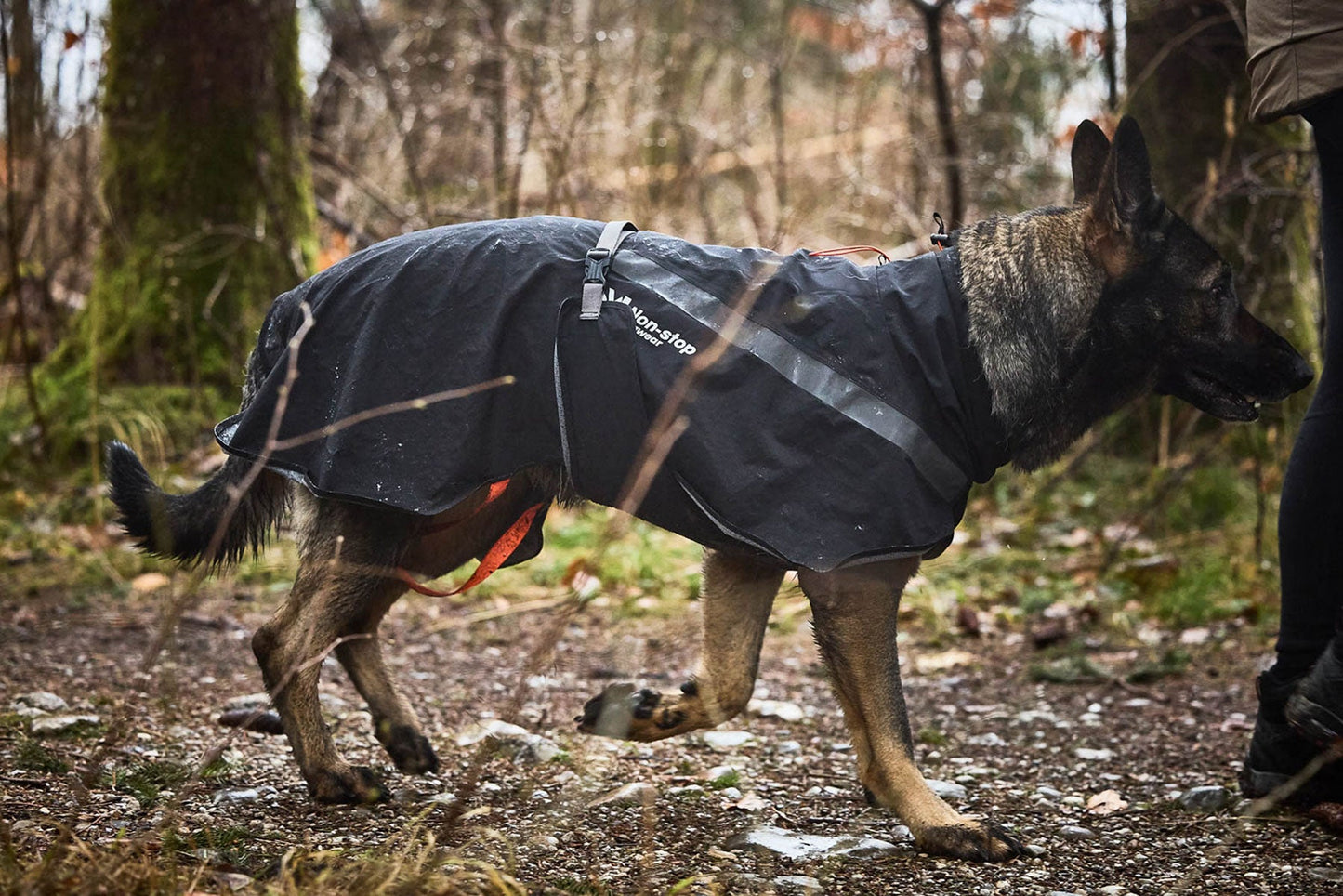 Non-stop dogwear Trekking dog raincoat – Chubasquero impermeable para perros