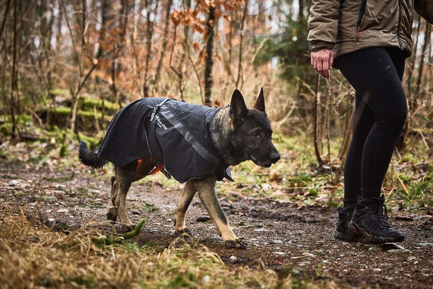 Non-stop dogwear Trekking dog raincoat – Chubasquero impermeable para perros