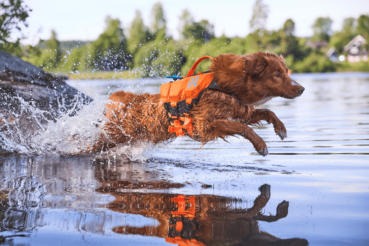 Non-stop dogwear salvavidas perro