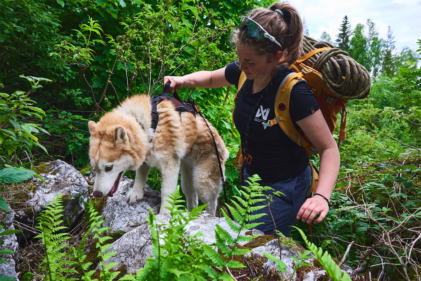 Rock harness long trekking