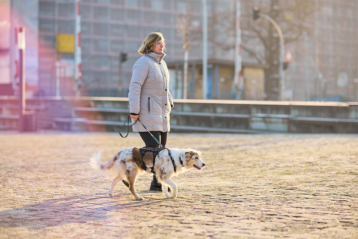 Rock harness long Non-stop dogwear paseo