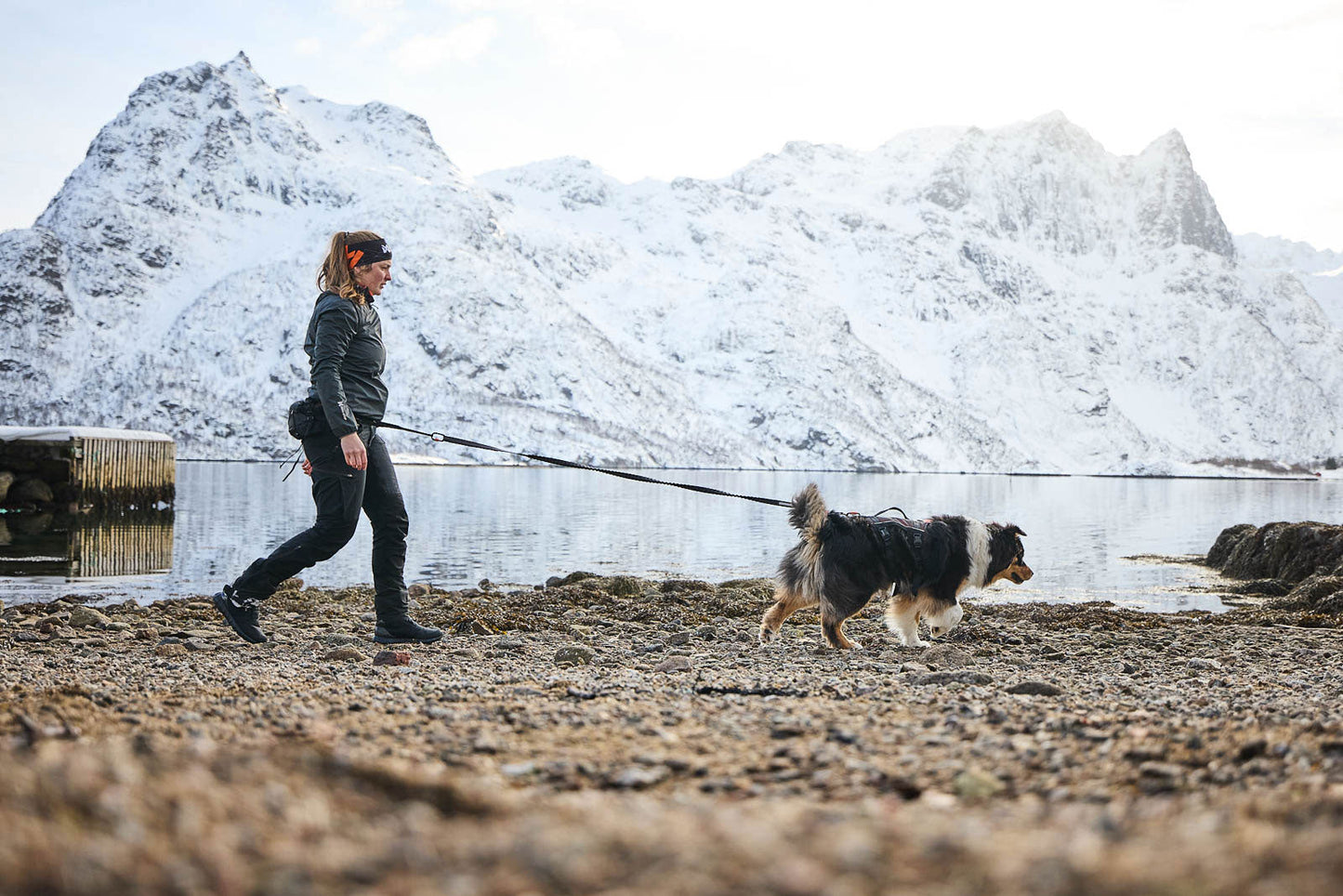 Non-stop dogwear Trail light Belt – Cinturón Multifuncional para Trail Running, Canicross y Trekking con Perros
