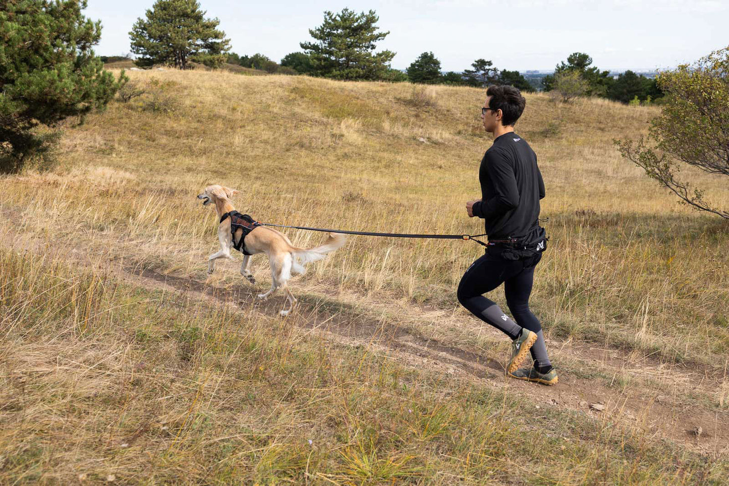 Non-stop dogwear Trail light Belt – Cinturón Multifuncional para Trail Running, Canicross y Trekking con Perros