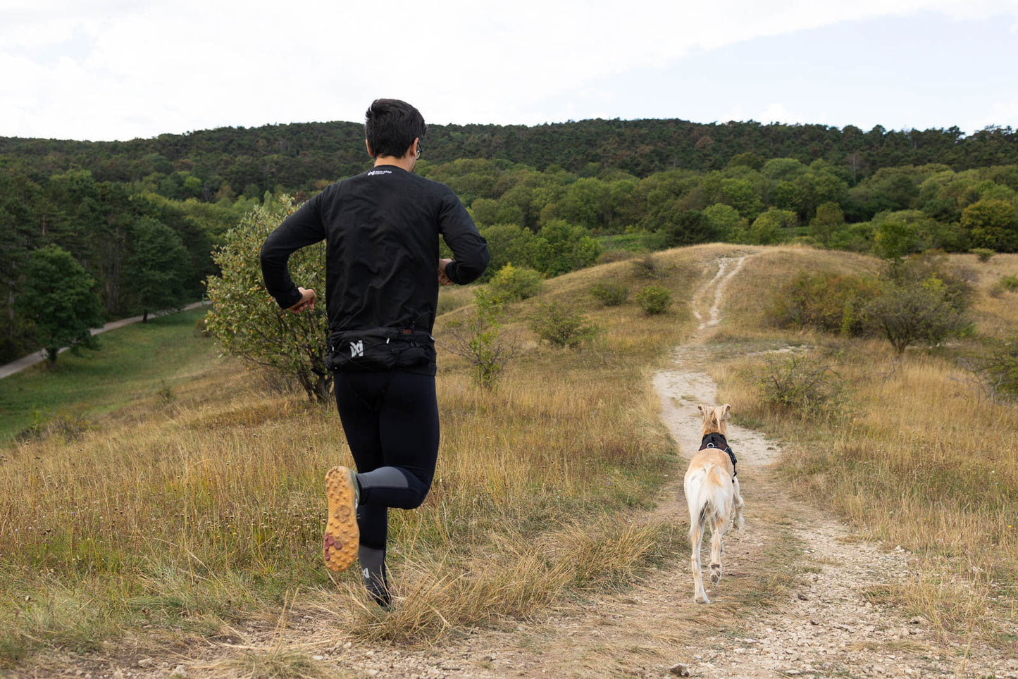 Non-stop dogwear Trail light Belt – Cinturón Multifuncional para Trail Running, Canicross y Trekking con Perros