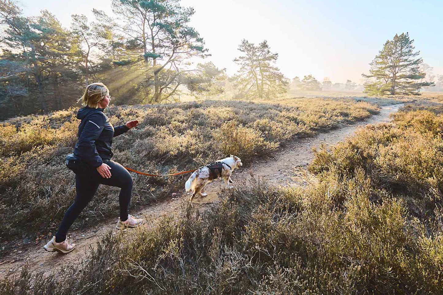 Non-stop dogwear Trail light Belt – Cinturón Multifuncional para Trail Running, Canicross y Trekking con Perros