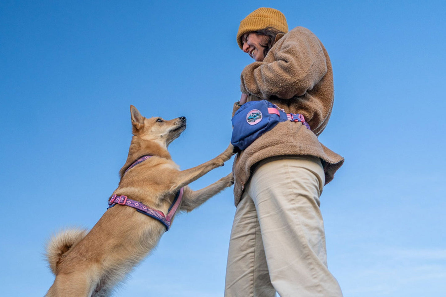 Non-stop dogwear Trail quest fanny pack Rachel Pohl edition – Bolsa Riñonera perros
