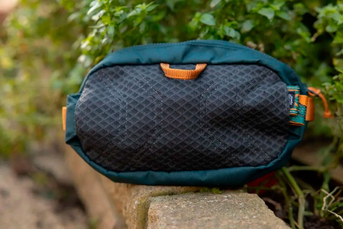Trail quest fanny pack Non-stop dogwear turquesa
