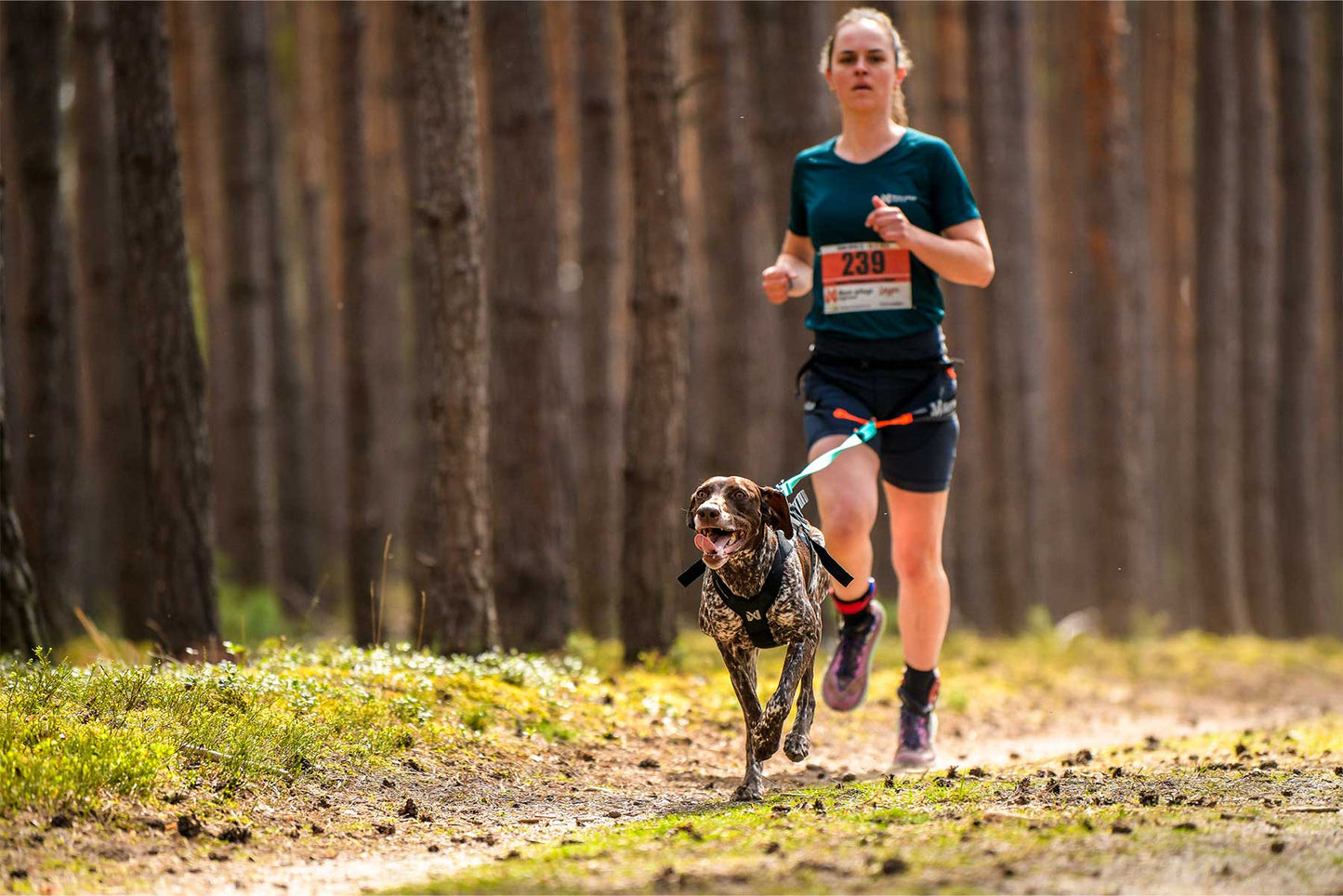 Camiseta CaniX Tech tee teal Women's canicross con 1 perro
