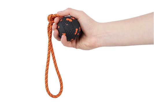 Mano sujetando una pelota de color negro con cuerda para perros