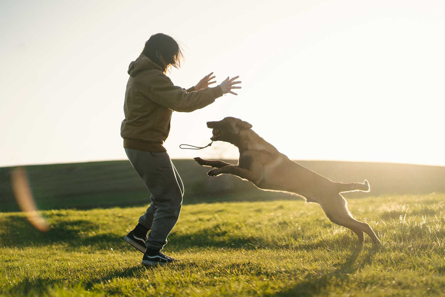 Chica jugando con un pastor Belga Malinois con pelota con cuerda