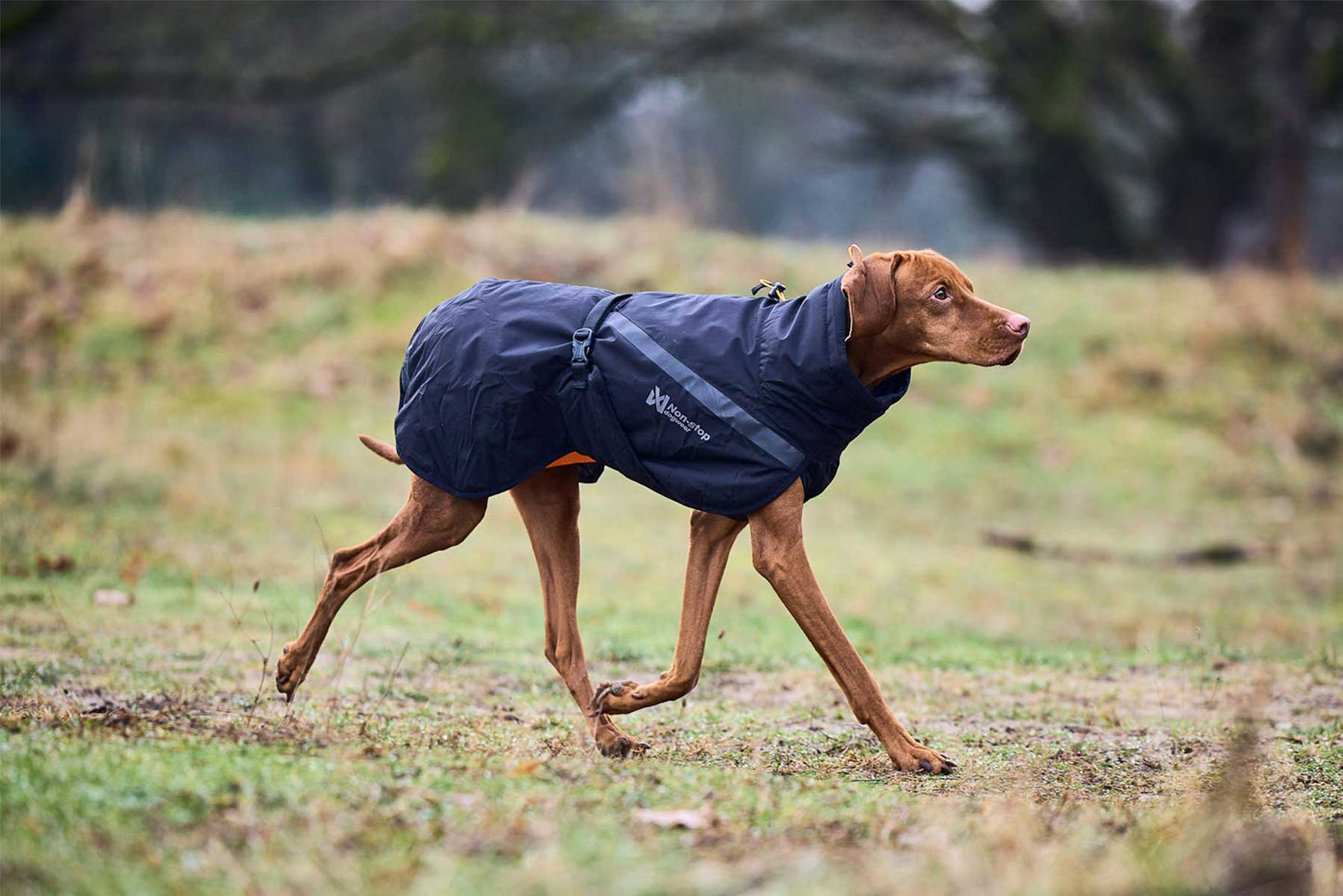 Perro utilizando un abrigo negro Non-stop dogwear trekking insulated dog jacket