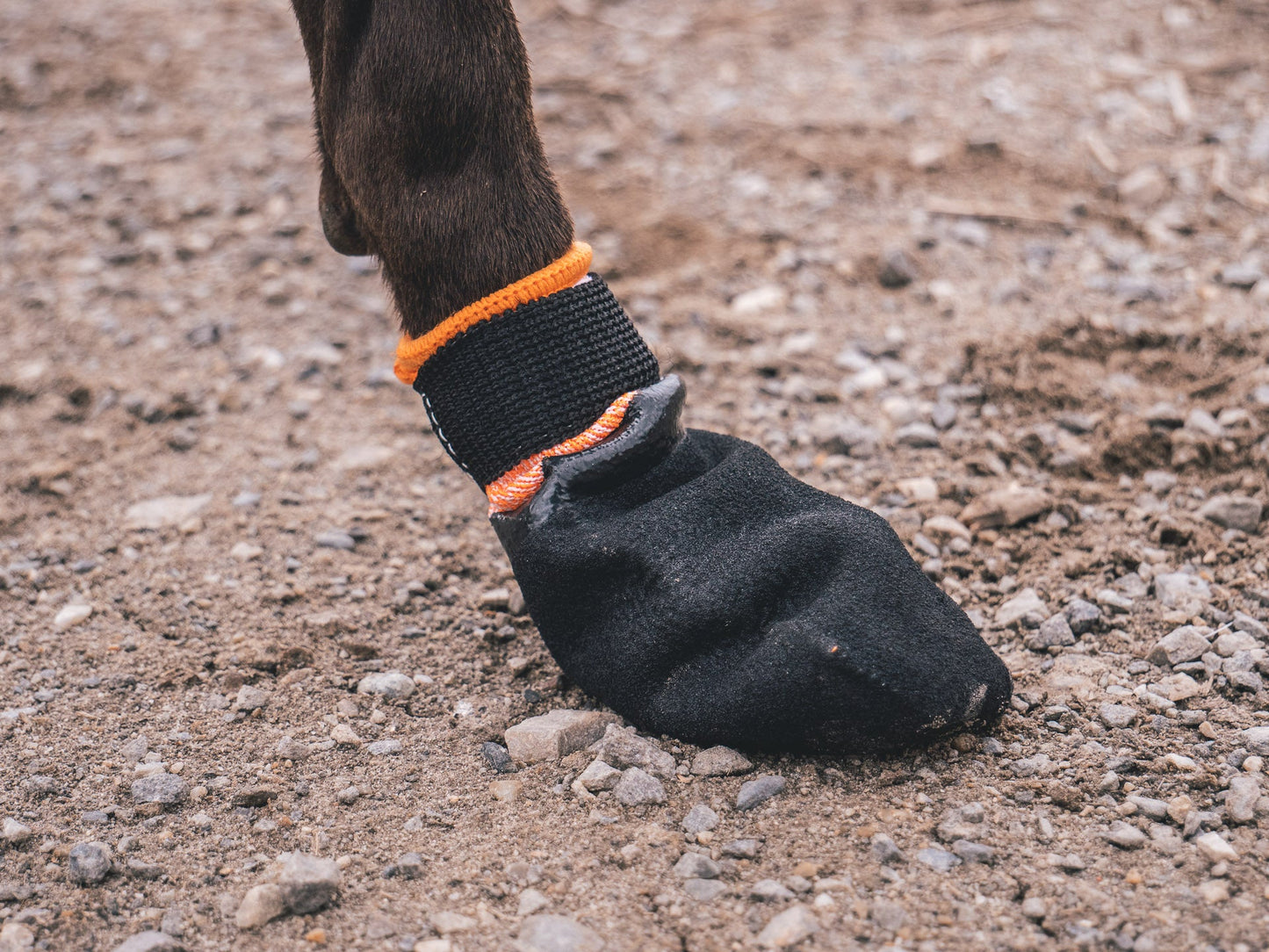 Protector booties