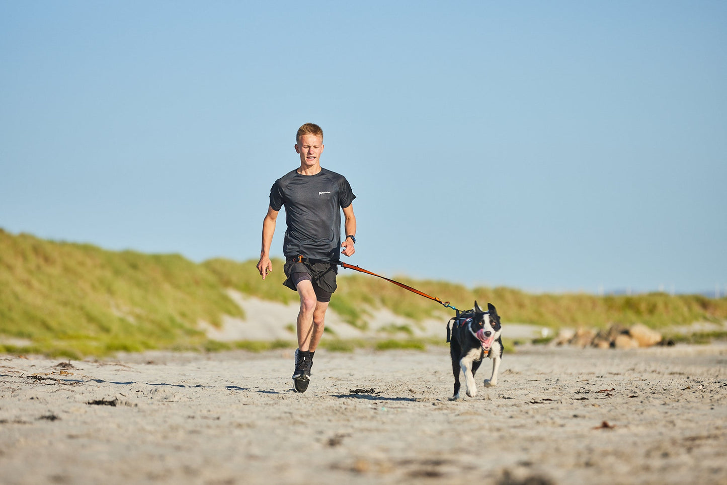 Non-stop dogwear Bungee leash – Correa Elástica para Canicross, Bikejoring y Scoter