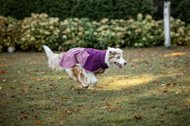 Non-stop dogwear Fjord raincoat 2.0 – Impermeable para Perros con Alta Transpirabilidad