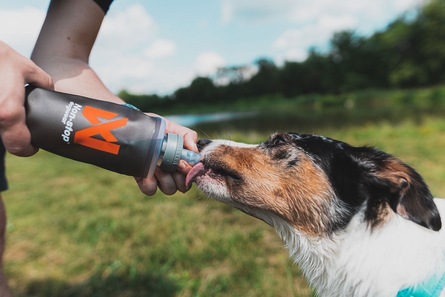 Botella softflask Non-stop dando de beber a un perro