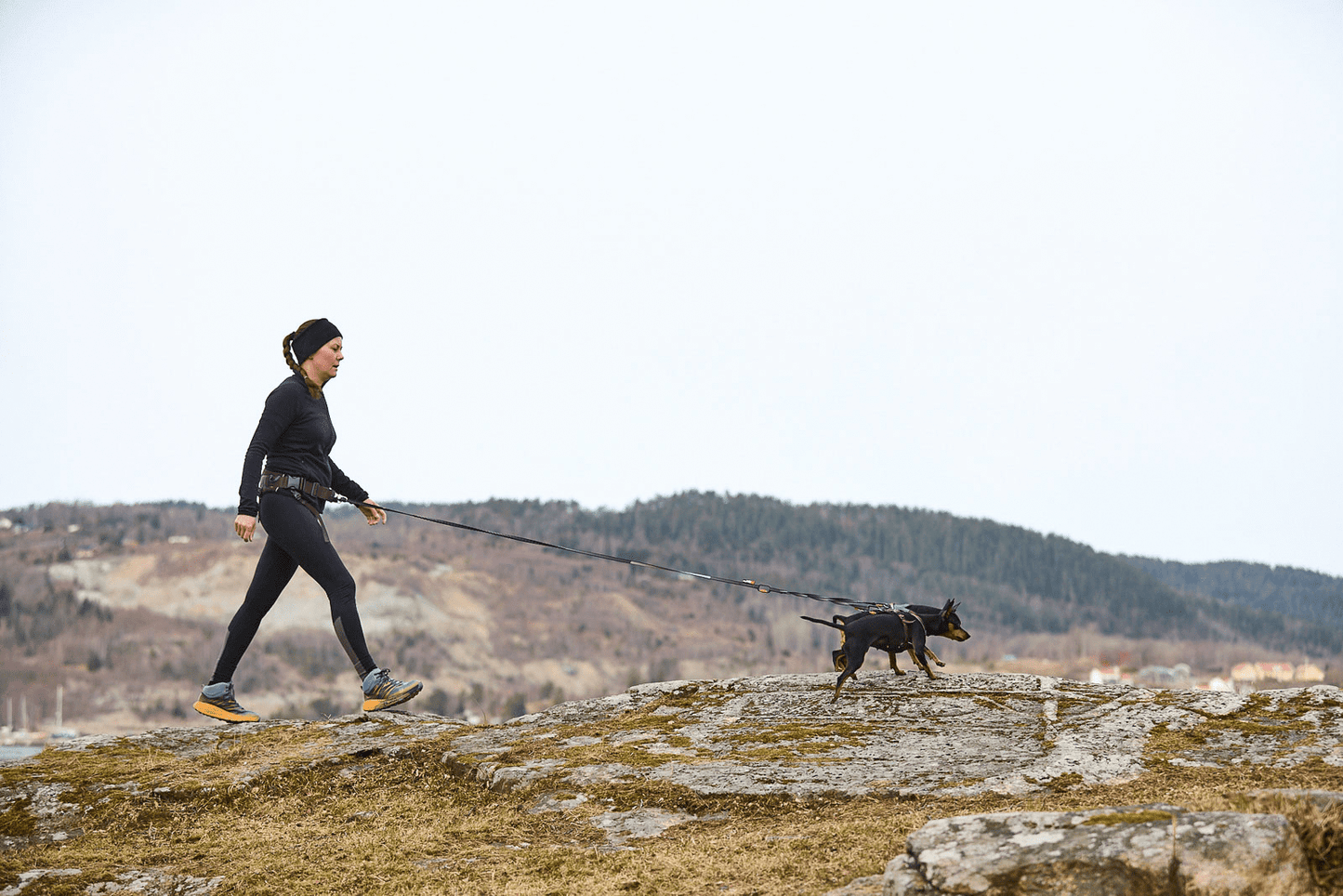 Non-stop dogwear Trekking belt 2.0 – Cinturón Manos Libres para Perros