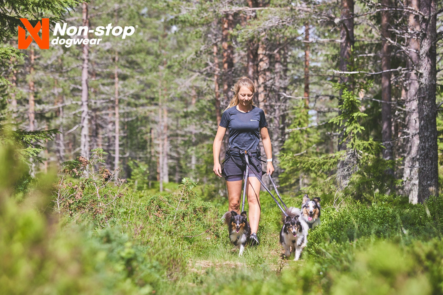 De paseo en el bosque line harness 5.0