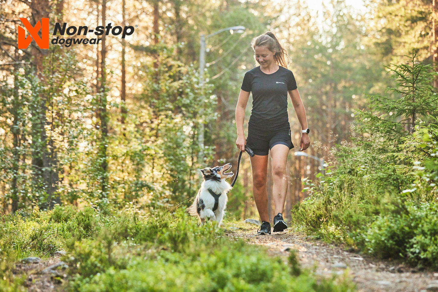 De paseo con line harness 5.0 de non-stop dogwear
