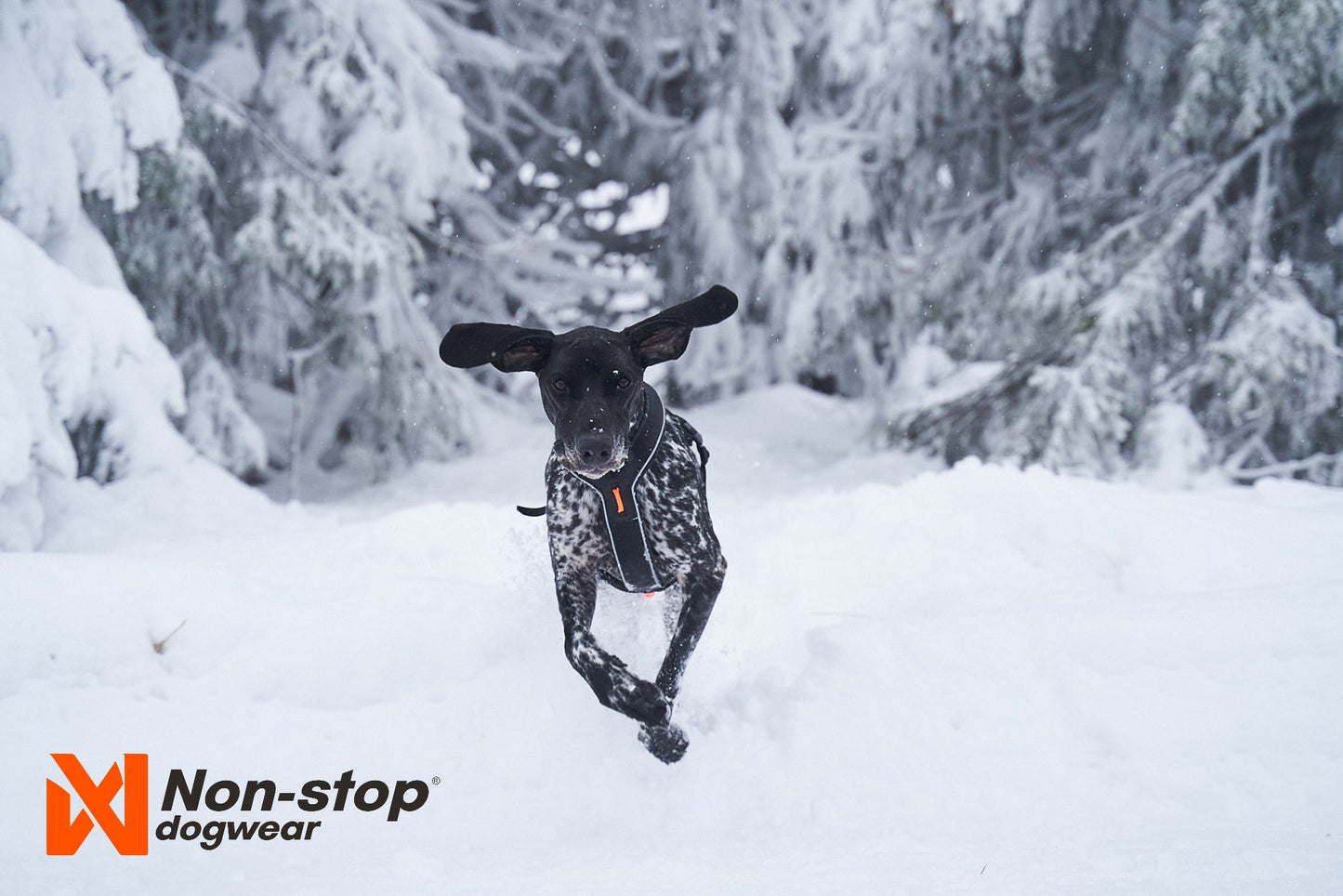 Braco en la nieve
