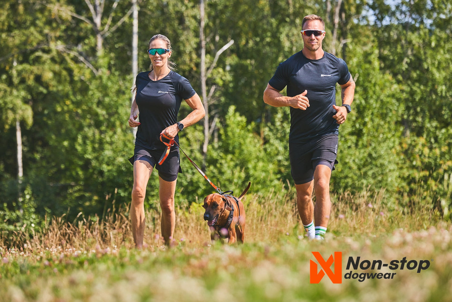 Footing con move leash