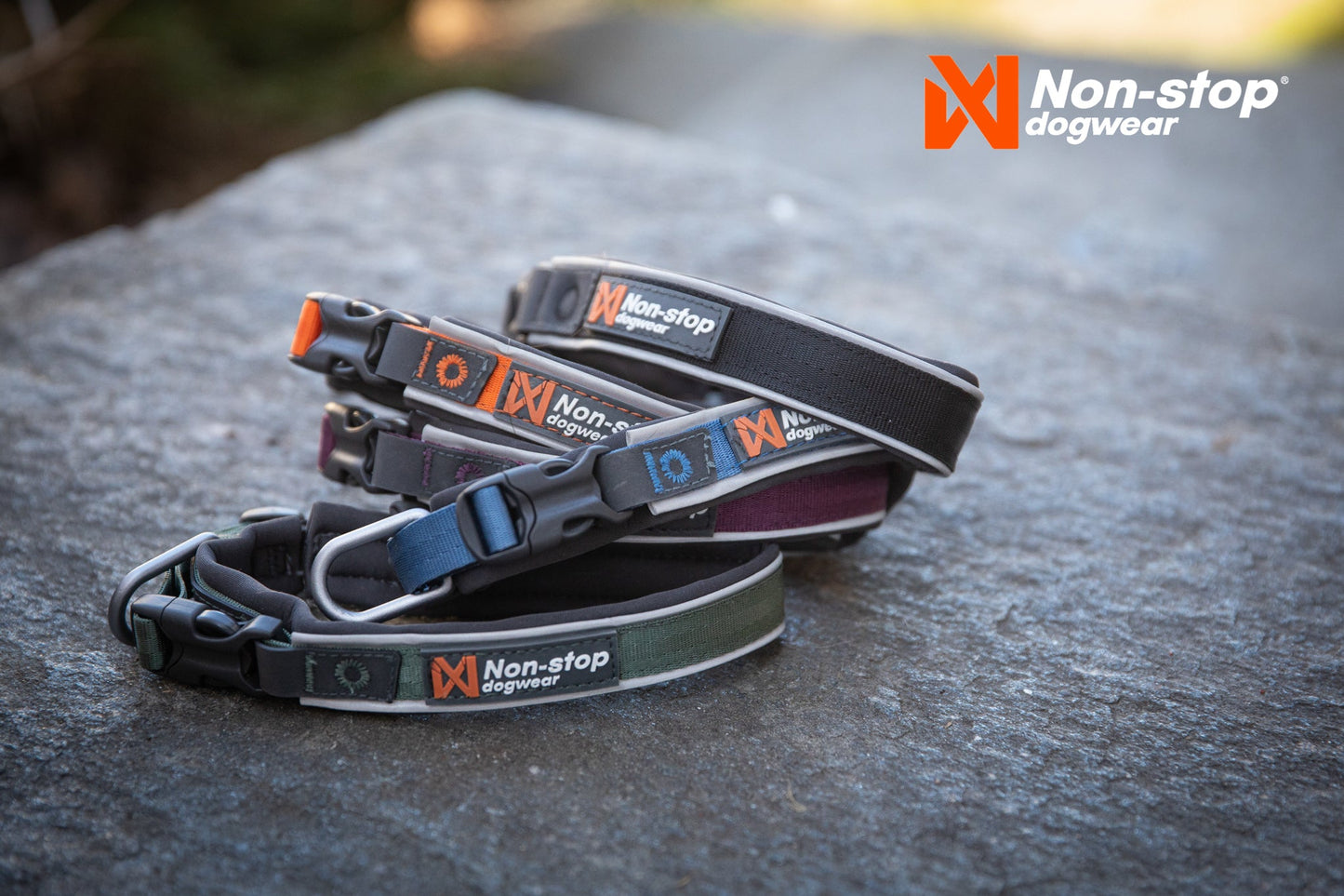 Non-stop dogwear Roam collar – Collar Resistente y Acolchado para Perros