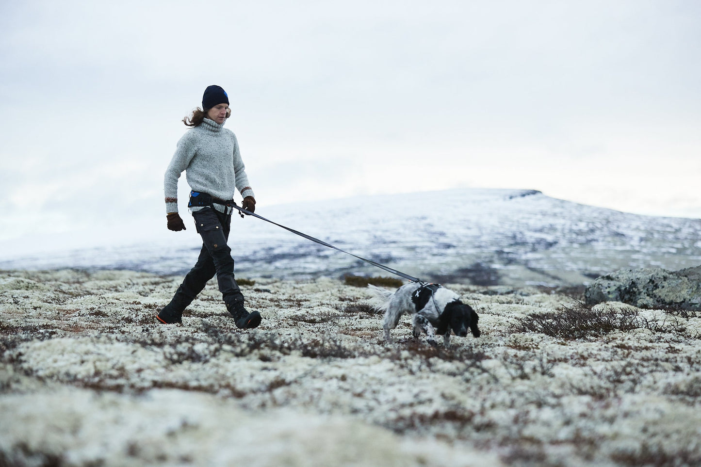 Trekking perro pequeño en la nieve