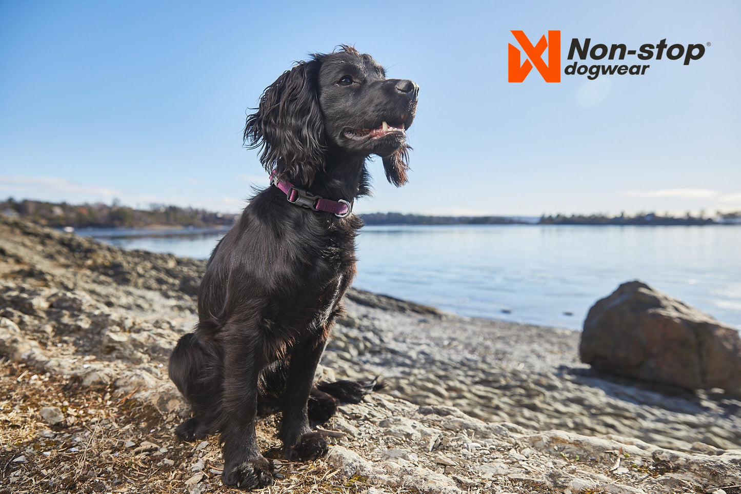 Tumble collar morado en la playa