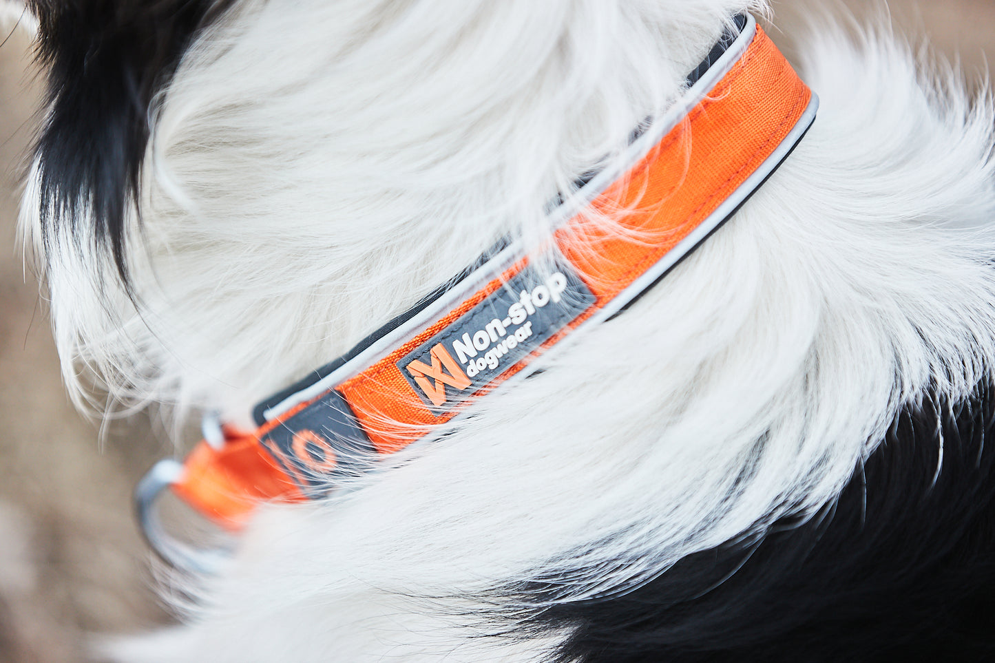 Non-stop dogwear Cruise collar – Collar Acolchado Semideslizante para Perros en Colombia