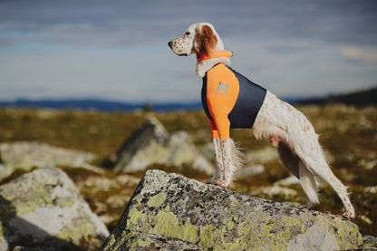 Non-stop dogwear Protector t-shirt– Camiseta Protectora para Perros
