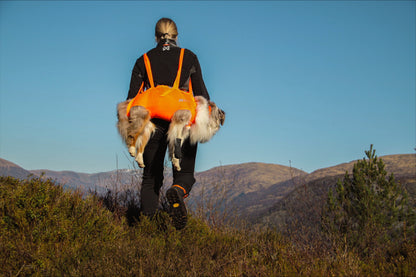 Dog rescue sling