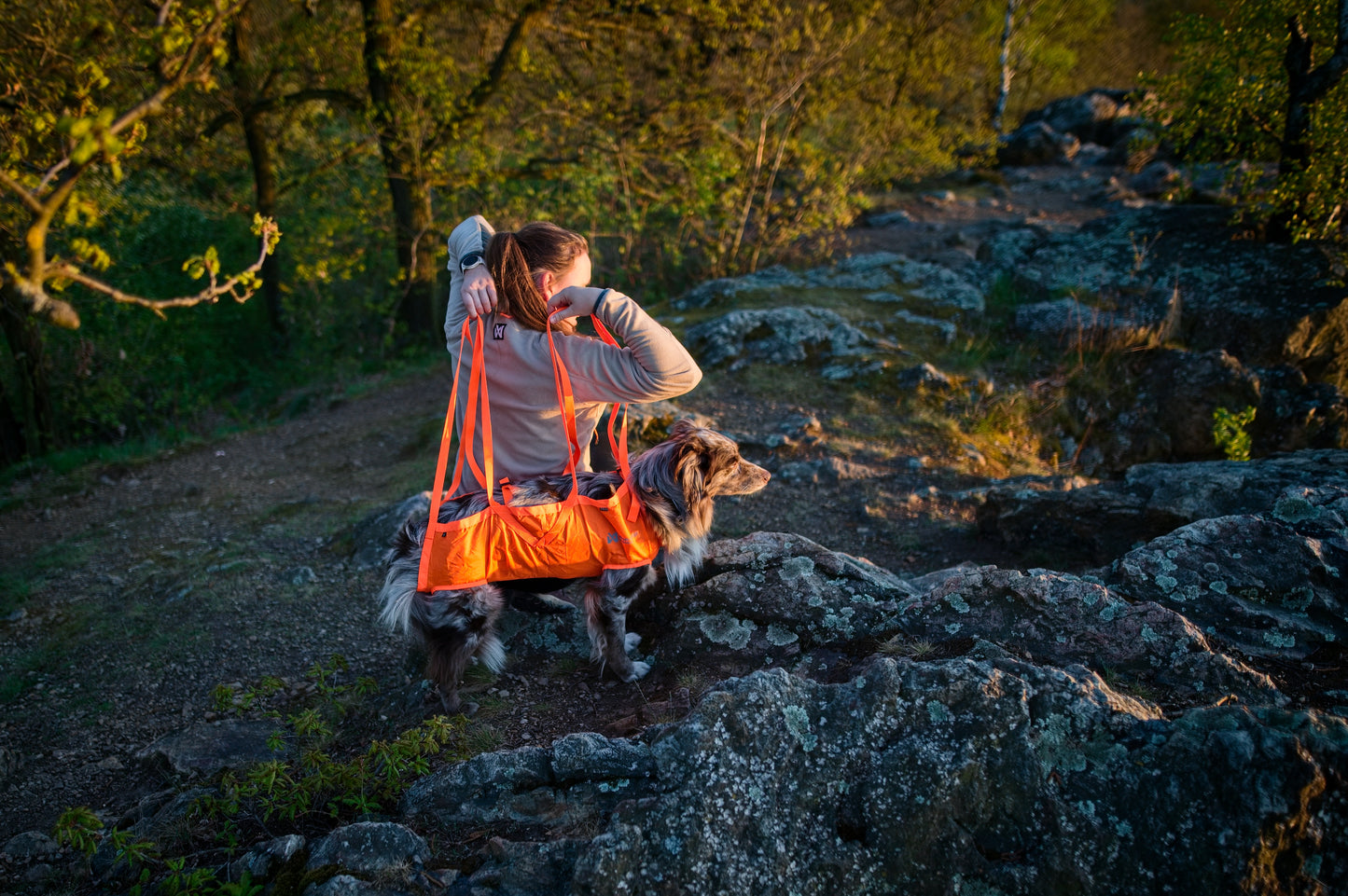Dog rescue sling