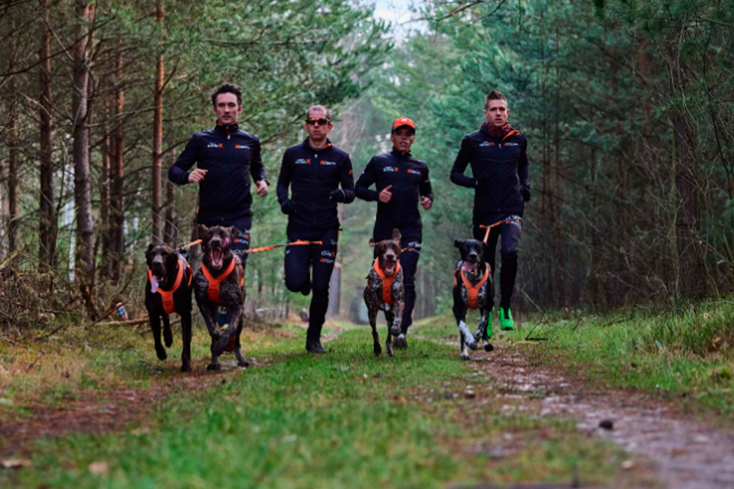 Non-stop dogwear CaniX belt Pro – Cinturón Canicross Profesional Ultraligero para Competición