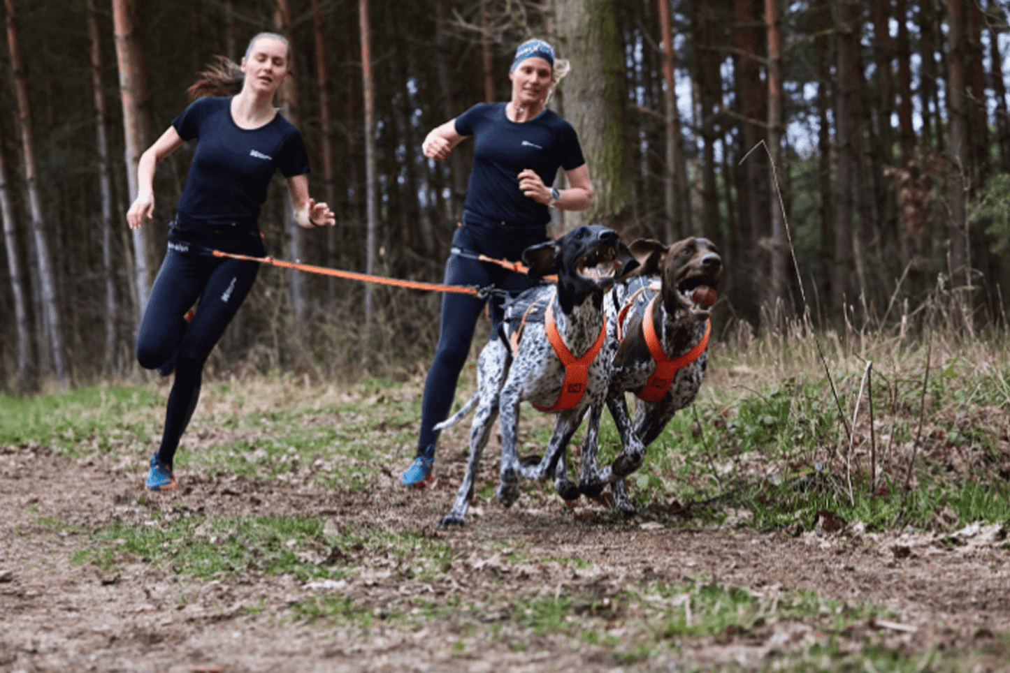 Non-stop dogwear CaniX belt Pro – Cinturón Canicross Profesional Ultraligero para Competición