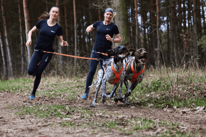 Non-stop dogwear CaniX belt Pro – Cinturón Canicross Profesional Ultraligero para Competición