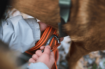 Non-stop dogwear Friction long line – Correa Larga con Agarre Mejorado