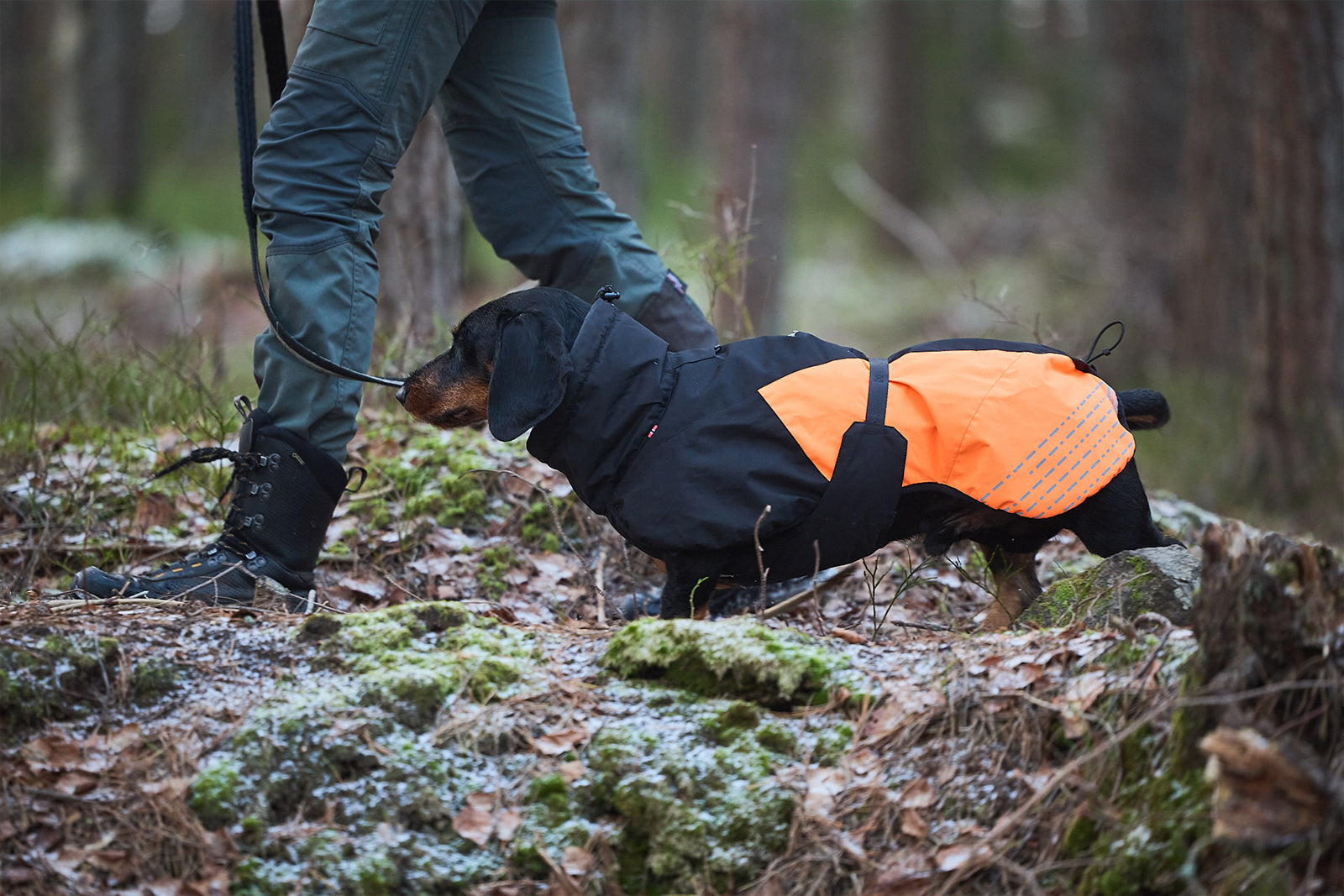 Glacier jacket 2.0 Non-stop dogwear en el monte